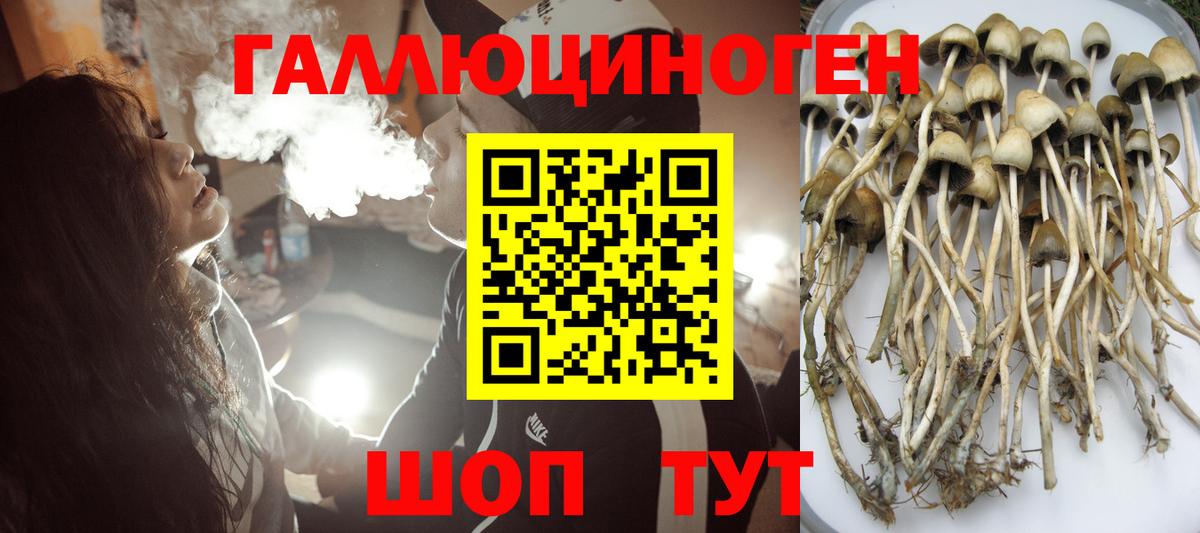 Галлюциногенные грибы Cubensis Сургут